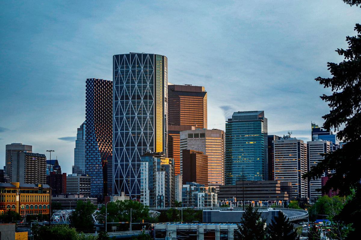 Natural Layering Direct Composite Master Course | Calgary