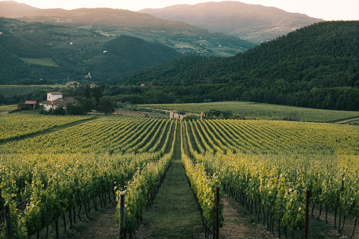 Okanagan Valley Winery